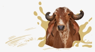 We Are On A Mission To Revive The Goodness Of - Bull