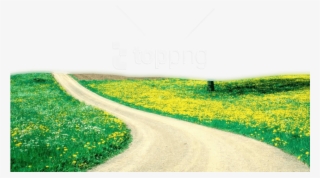 Free Png Download Nature Png Images Background Png - Field Of Flower Hd