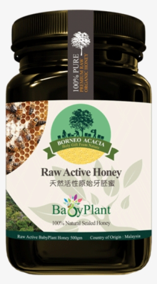 Babyplant Raw Active Honey - Bentong Ginger Product