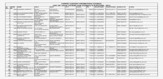 Carpet Export Promotion Council List Of 040 23398978 - Maria Caroline Guimarães Silva