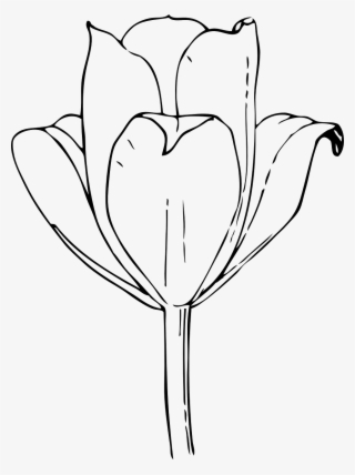 Flower Black And White Floral - Tulip Flower Black And White