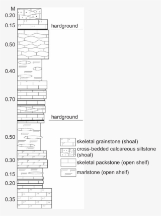 Stratigraphic Section At The Ohesaare Formation At - Diagram