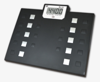 All - Body Weight Scales