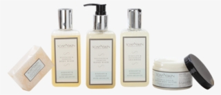 Rosemary & Peppermint With Argan Oil View All Products - Cosmetics