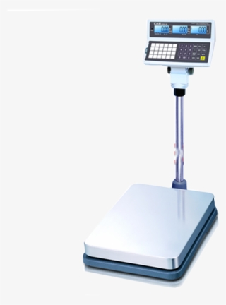 Cas Weighing Machine 150 Kg - Weighing Scale For Laundry