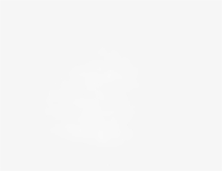 Stream With Advantage - Twitter White Bird Logo