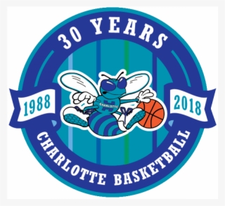 Charlotte Hornets Logos Iron On Stickers And Peel-off - Charlotte Hornets 30th Anniversary