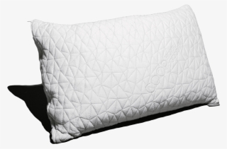 Coops Home Goods Pillow