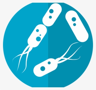 Probiotics, Prebiotics, & Oral Health - Bacterias Png