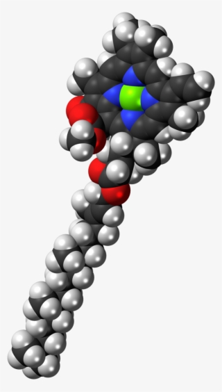 Chlorophyll 3d