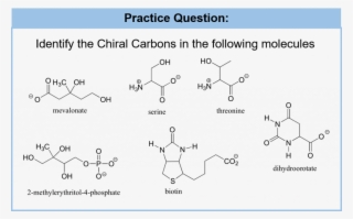 Of What We Are Referring To As The Two Isomers Of Thalidomide, - Chiral Alcohol With 4 Carbons