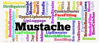 Slang Words For Beard In - E! News