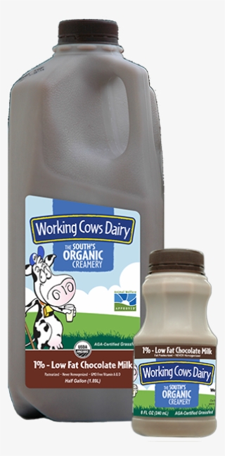 1/2 Gallon Organic Lowfat Chocolate Milk - Plastic Bottle