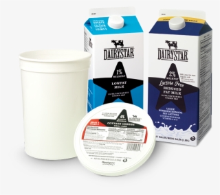 Healthly Options Group2 - Grain Milk