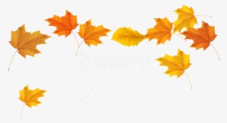 Free Png Download Fall Leaves Picture Clipart Png Photo - Fall Leaves Transparent Background