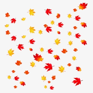 Fallingleaves Sticker - Transparent Background Falling Leaves
