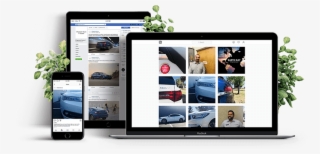 Chapman Acura On Social Media - Web Design