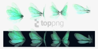 Free Png Green Fairy Wings Png Image With Transparent - Transparent Realistic Fairy Wings