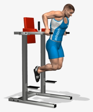 What Muscles Do Dips Workout - Deep Tricipiti
