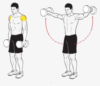 Lateral Raise - Dumbbell Shoulder Fly