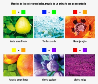 Los Colores Terciarios - Objetos De Colores Secundarios