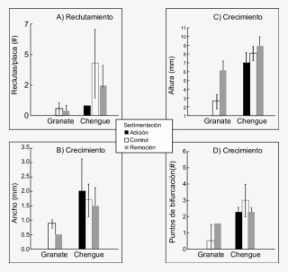 Reclutamiento , Ancho (b), Altura (c) Y Puntos De Bifurcación - Diagram