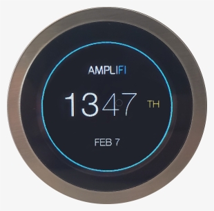 Jumbo Black Raisins - Seedless Fruit