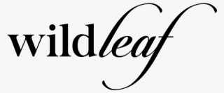 Pimple Free Skin In 5 Easy Steps - Calligraphy