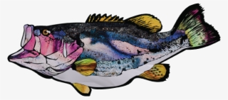 Fish - Bass