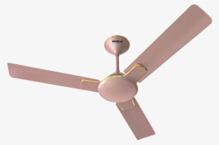 Enticer - Havells Enticer Rose Gold