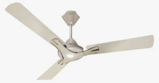 Havells Nicola 1200mm Pearl White Silver Ceiling Fan - Havells Nicola Fan Colours