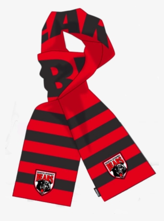 2019 Bears Scarf - Casual Dress