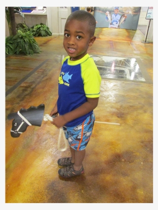 The Marsh Tacky Stick Horses Are Named For Five Of - Toddler