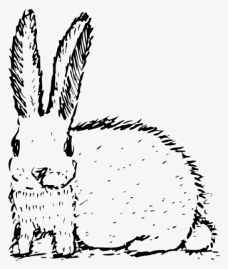 Rabbit Rubber Stamp - Domestic Rabbit