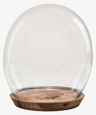 Glass Dome Hand Blown On Wood Base 23 Cm - Dinghy