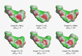 Electrostatic Complementarity Maps For Some Of The