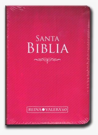 Santa Biblia Rv&18060 Iglesia Evangelica Cristiana - Book Cover