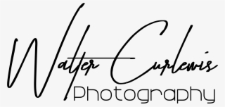 Curlewis Photography - The Journey Begins