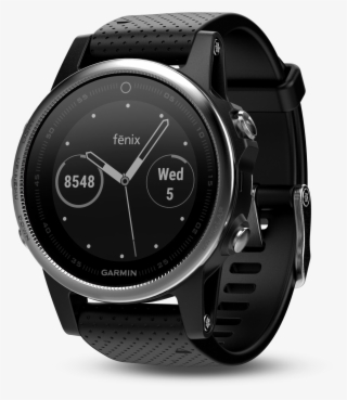 Silver With Black Band - Garmin Fenix 5s Silver