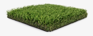 Turfhub Landscape Collection - Lawn