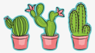 Drawn Cactus Tumblr Transparent - Cactus Png