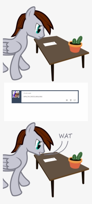 Darthlucario, Ask, Cactus, Gibberish, Oc, Oc - Cartoon