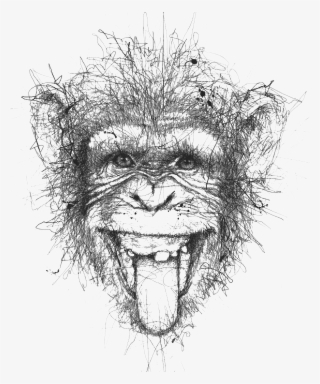 Ape Chimpanzee Monkey - Scribble Monkey - 600x720 PNG Download - PNGkit