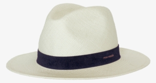 Gold Logo On Navy - Fedora