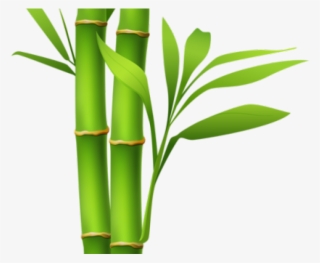 Bamboo Clipart Island Border - Transparent Bamboo Clip Art
