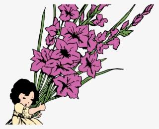 Gladiolus Clipart Cartoon - Illustration