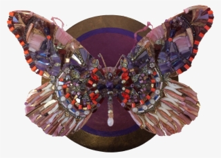 Butterfly Project - Vanessa (butterfly)