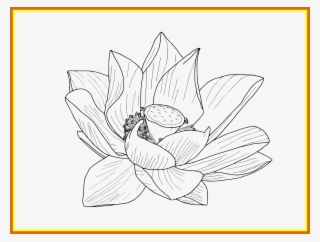 1650 X 1250 8 - Clip Art