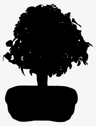 Bonsai Silhouette - Illustration