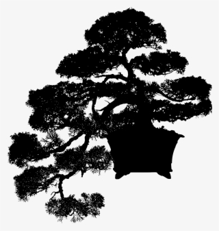 Big Image - Silhouette